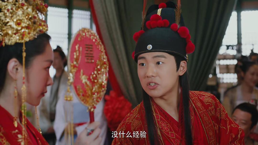 赘婿最新版,赘婿最新版,时代背景下的商战传奇