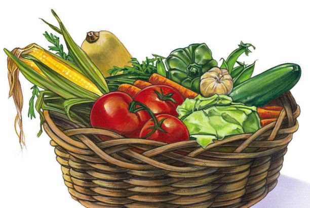 最新菜篮子解读，意义、影响及我的观点分析