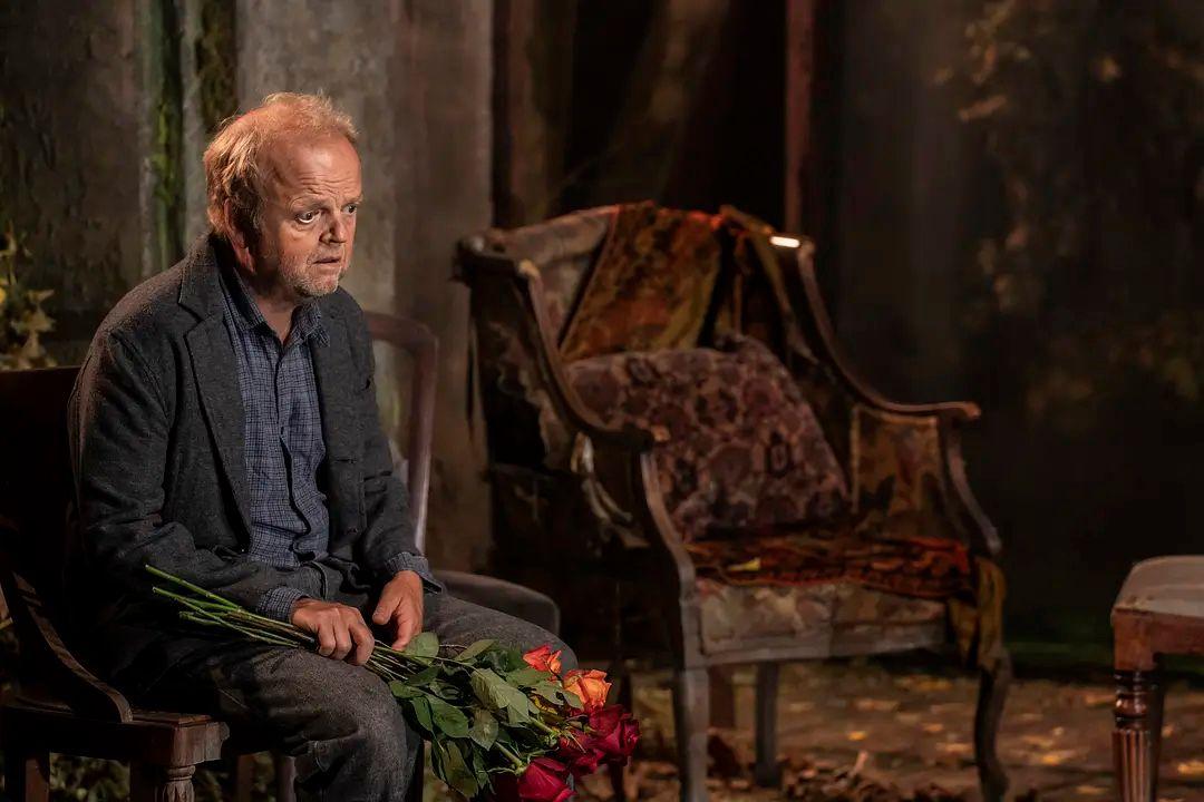 英国疫情最新动态,影响与观点阐述