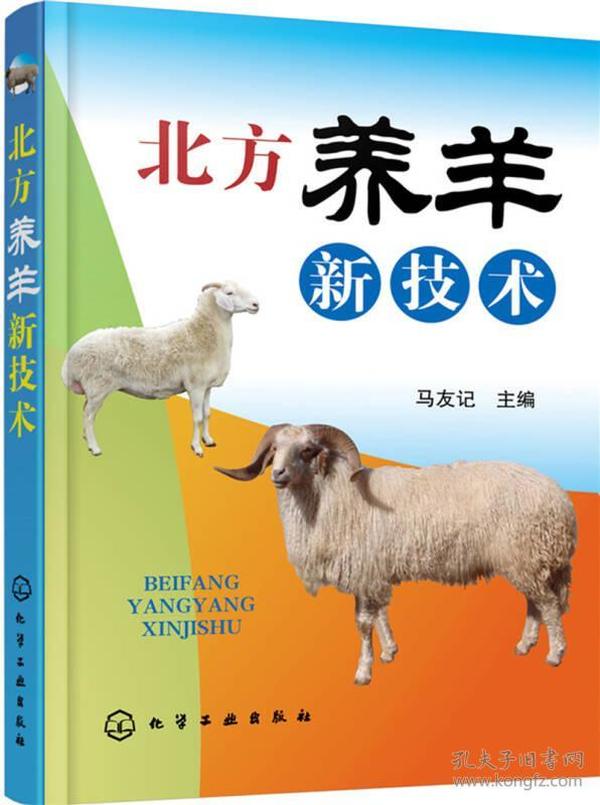 小巷中的神秘羊舍,最新养羊探秘之旅