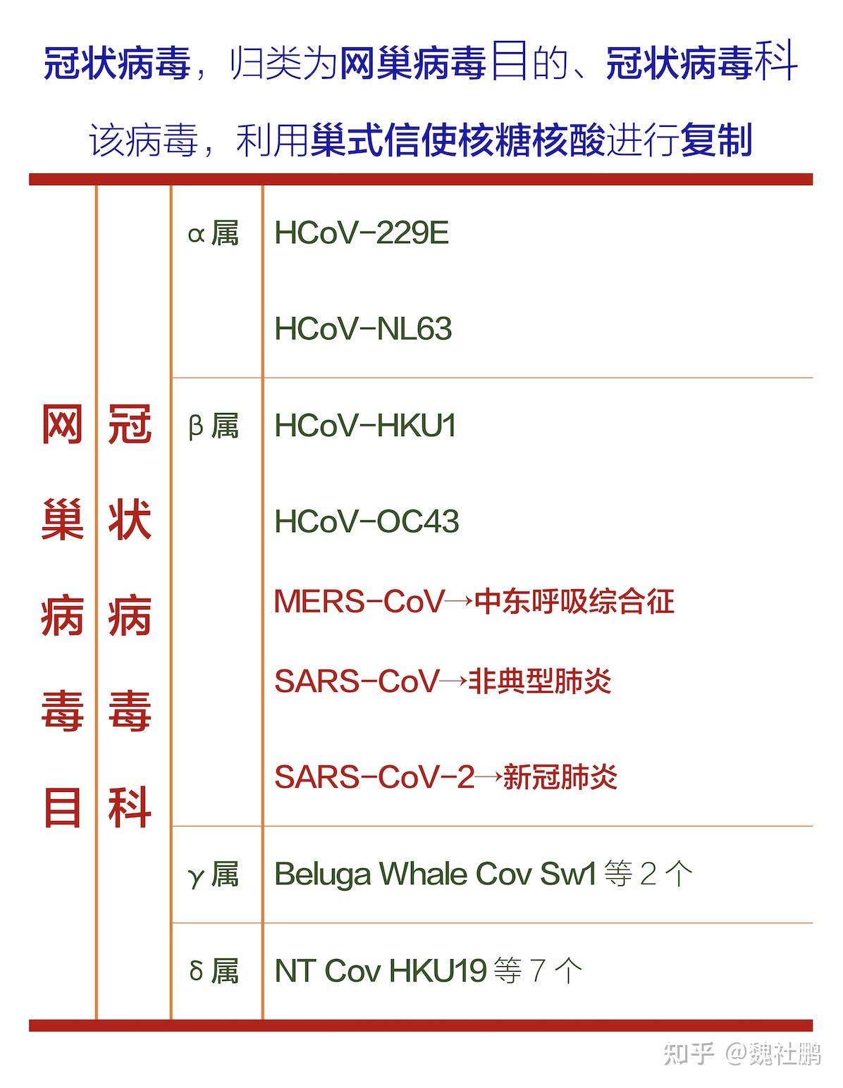 揭秘最新病毒起因,病毒源头大解密🔍