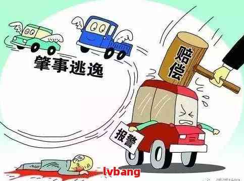 巷弄深处的神秘小店奇遇,最新逃逸事故揭秘