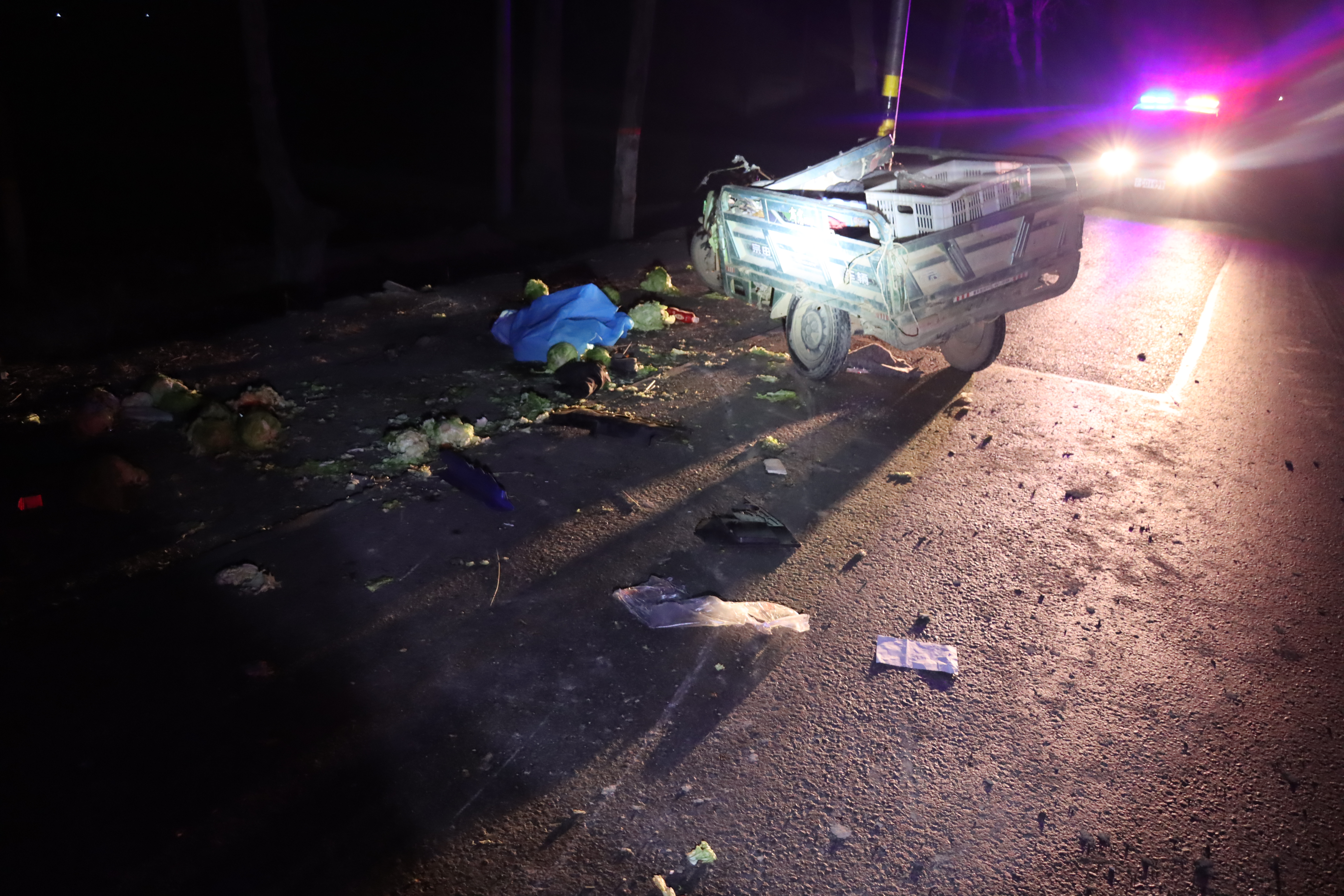 巷弄深处的神秘小店奇遇,最新逃逸事故揭秘