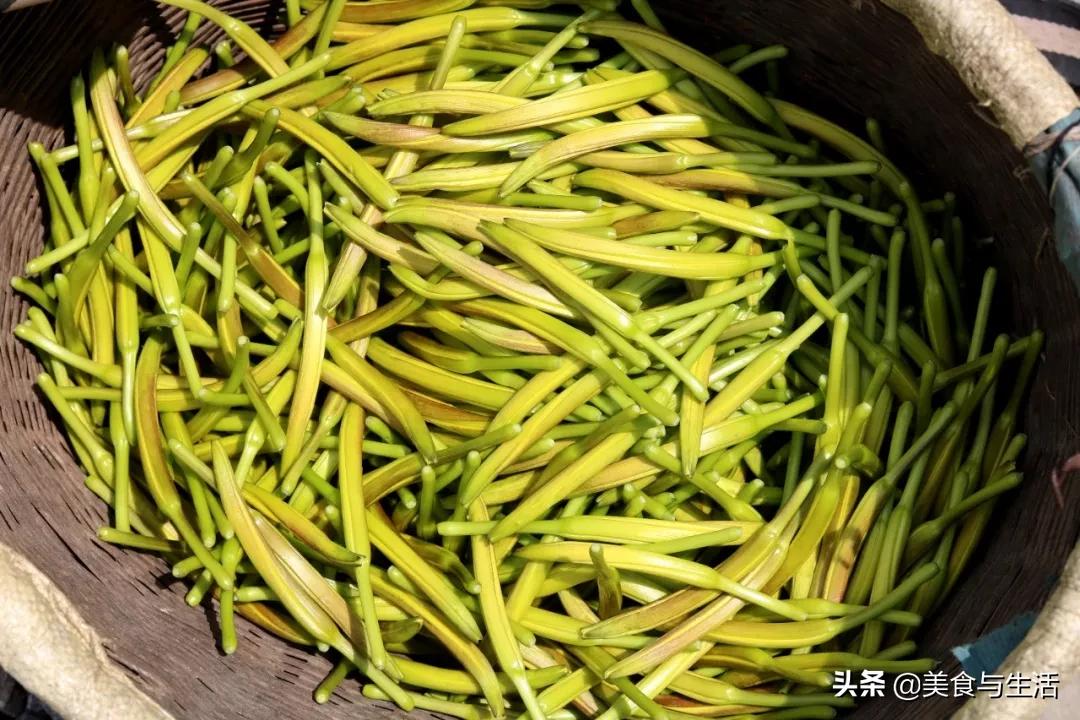 最新月子莱,引领产后恢复新风尚