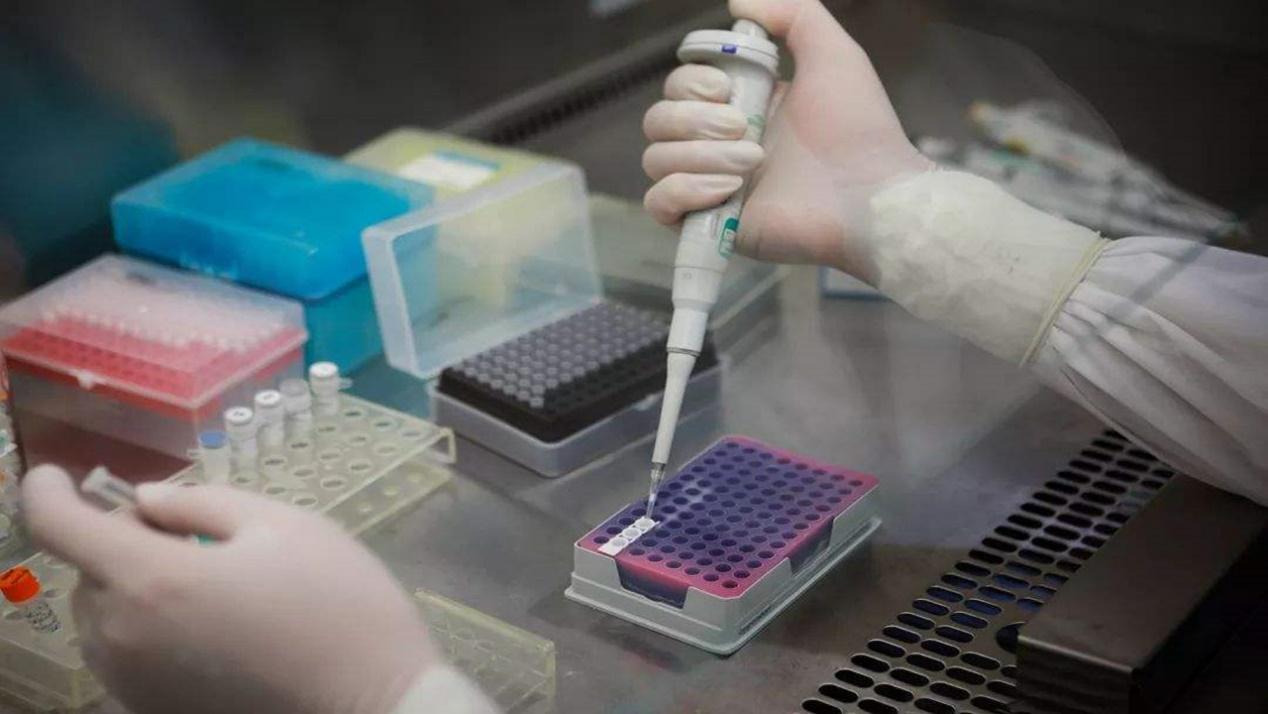 青岛病毒检测最新消息,青岛病毒检测最新消息📢🔬✨