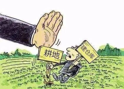 乱占耕地最新消息,🌾乱占耕地最新消息📣，守护农田，你我共同的责任！