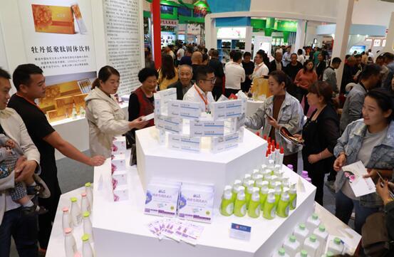 龙池牡丹最新消息,龙池牡丹最新消息,绽放变化之花,自信与成就感的源泉