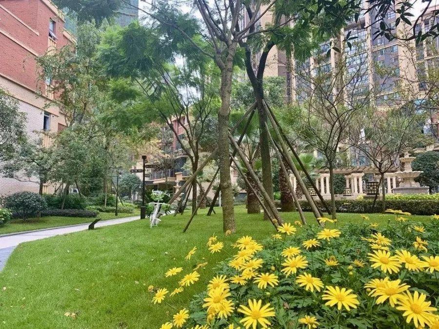 誉府仕家最新房价,誉府仕家，房价虽高，但心灵更宝贵——一场寻找内心平静的旅行