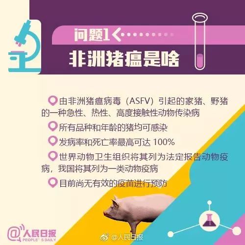 三聚最新消息,三聚最新消息，揭秘其在特定领域的发展与影响