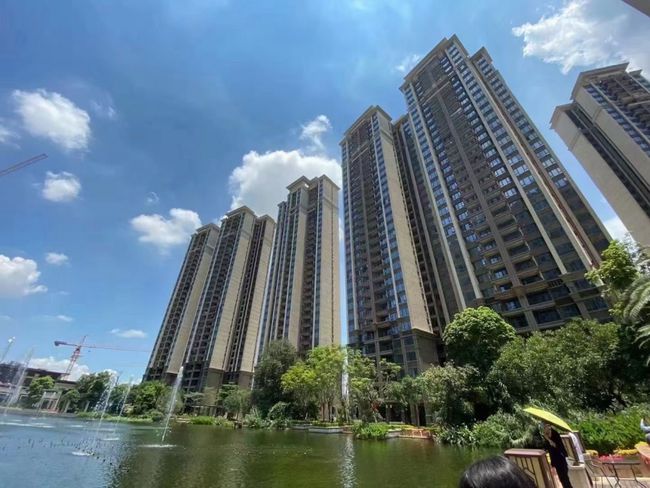 肇庆市楼盘最新楼价,肇庆市楼盘最新楼价，家的故事，友情的温馨篇章