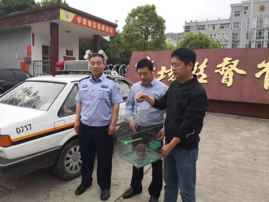 国家二级保护动物最新监测科技产品介绍,保护珍稀物种的新利器