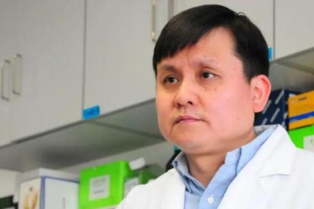 张文宏最新医学前沿动态揭秘,最新消息发布!