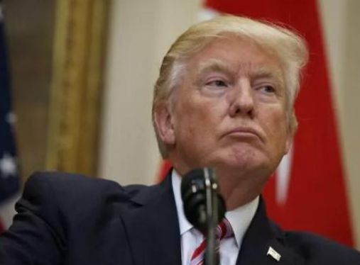 特朗普最新任命动态与追寻自然美景的心灵之旅，探寻宁静与平和的境地