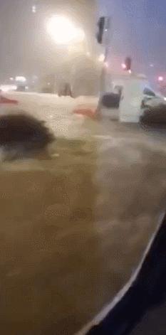 广东惠州暴雨洪涝灾害,最新消息、影响及应对措施