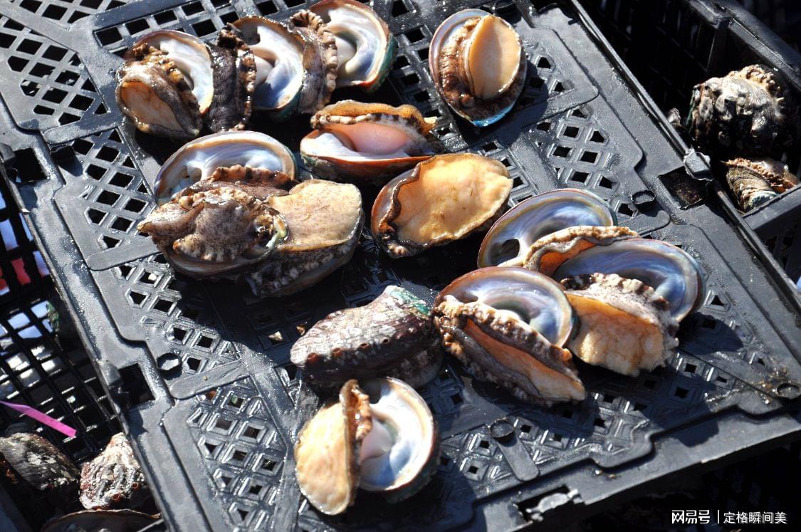 青岛天价鲍鱼最新动态揭秘,探寻海鲜市场热点话题