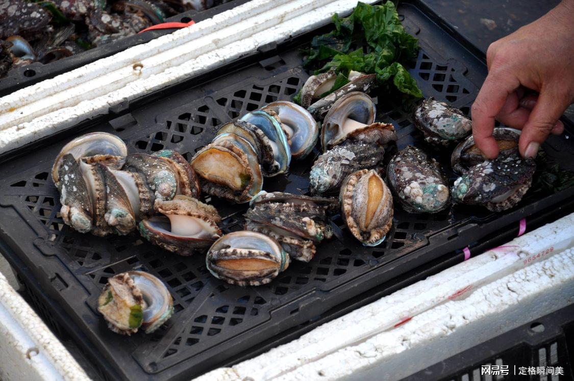 青岛天价鲍鱼最新动态揭秘，探寻海鲜市场热点话题