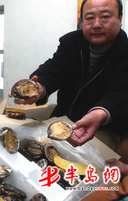 青岛天价鲍鱼最新动态揭秘,探寻海鲜市场热点话题