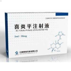 喜炎平最新动态,科技引领创新之旅,生活体验前所未有的重塑