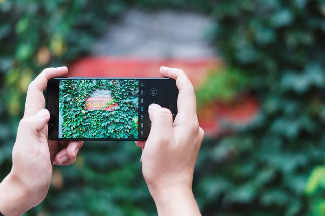 手机拍照排行榜最新,手机拍照排行榜最新，探索自然美景的旅行，寻找内心的平和之地