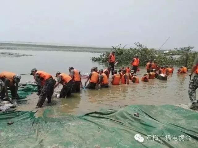 湖北黄梅防汛最新消息,湖北黄梅防汛最新消息，形势分析与观点阐述