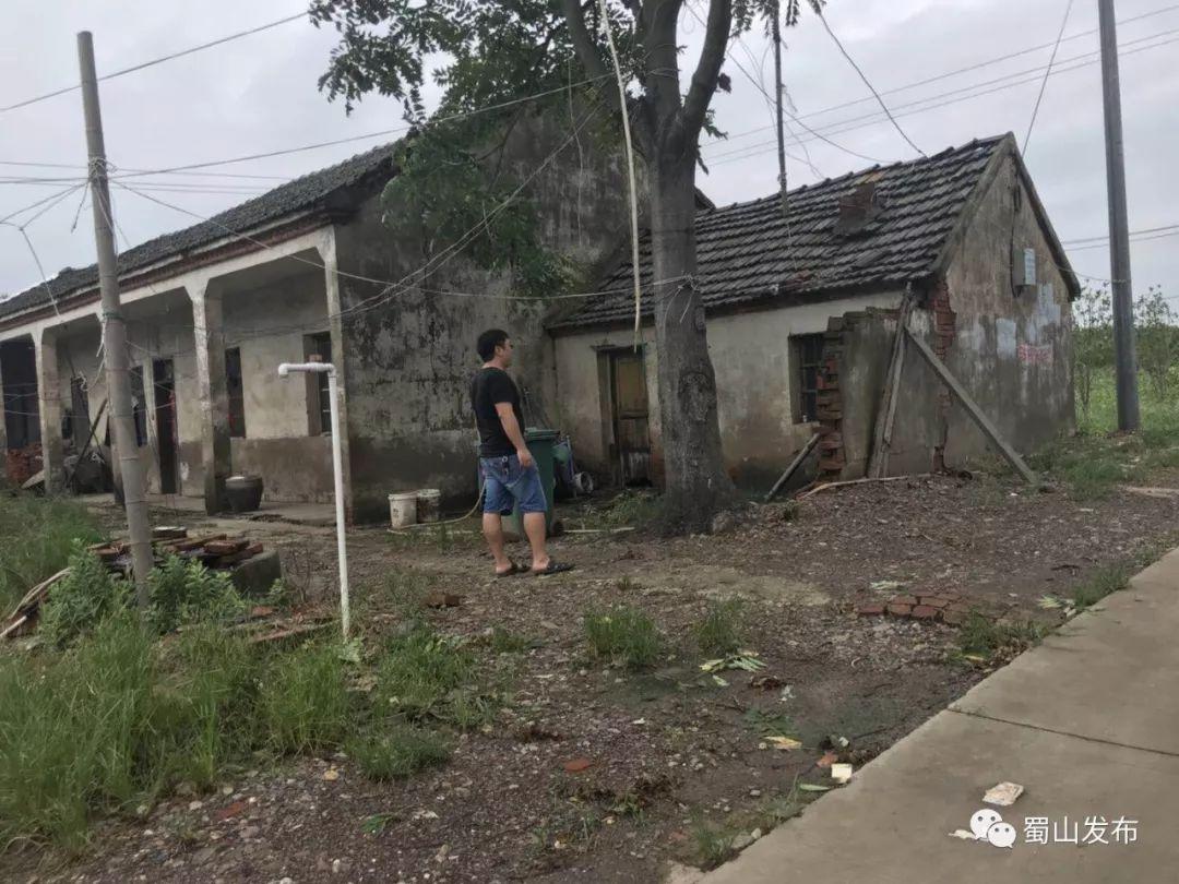 合肥市积水路段探索，自然之旅寻求内心平静