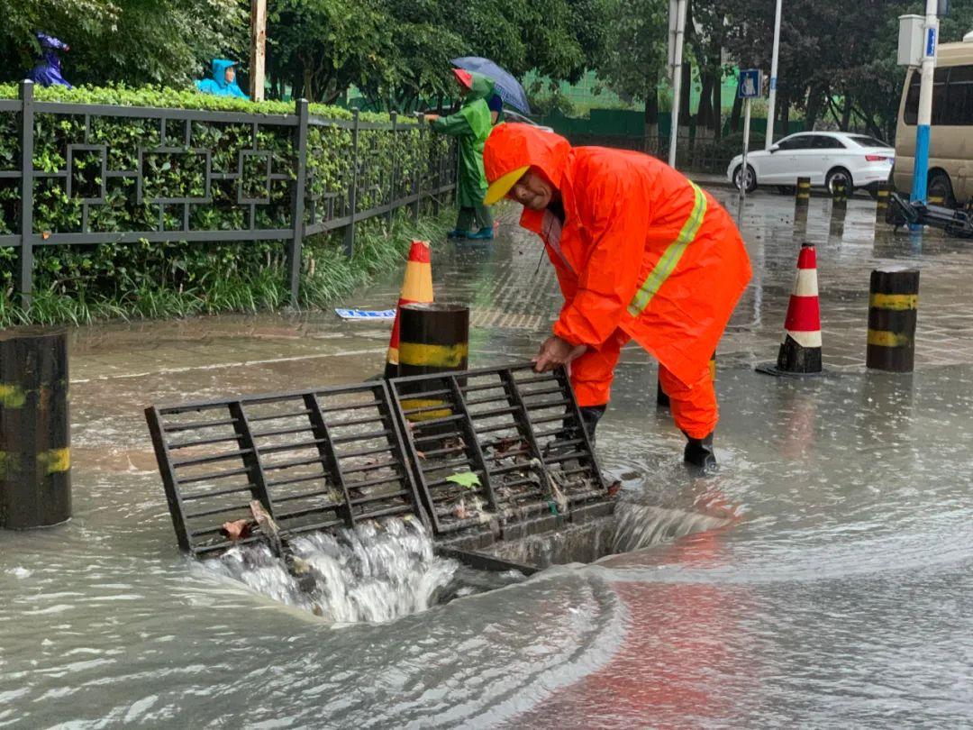 合肥市积水路段探索,自然之旅寻求内心平静