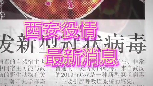 国家役情最新动态，变化中的力量与学习带来的自信与成就感