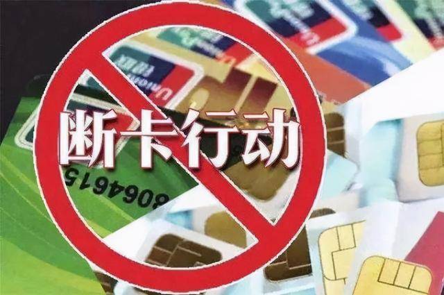 段卡行动最新动态，友情与陪伴的温馨之旅