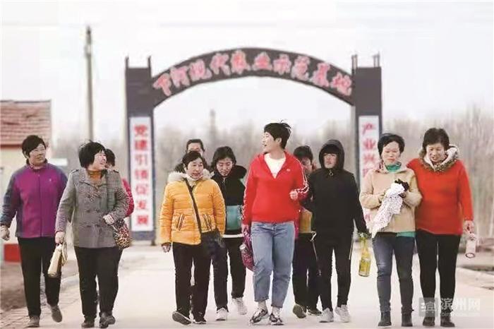 新奥精准免费资料提供,数据引导执行策略_精密版28.829