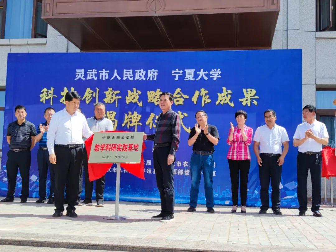 新澳免费资料精准大全,策略优化计划_收藏版88.210