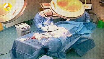 河南省新冠肺炎最新动态，巷弄深处的抗疫故事与美食秘境探索