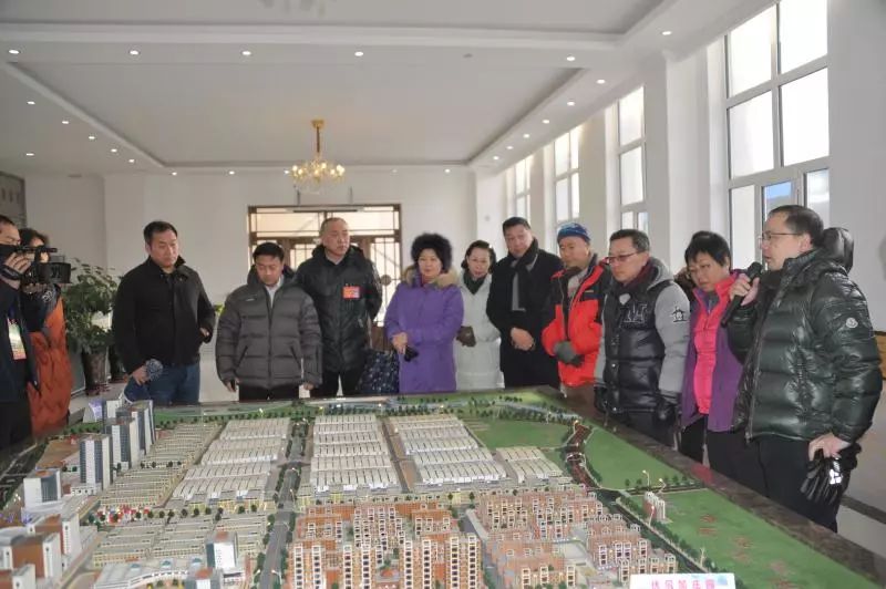 新澳最新最快资料新澳85期,实地数据验证_豪华款10.740