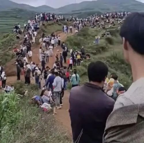 贵州龙叫最新消息,贵州龙叫最新消息，探寻隐藏在小巷中的特色小店