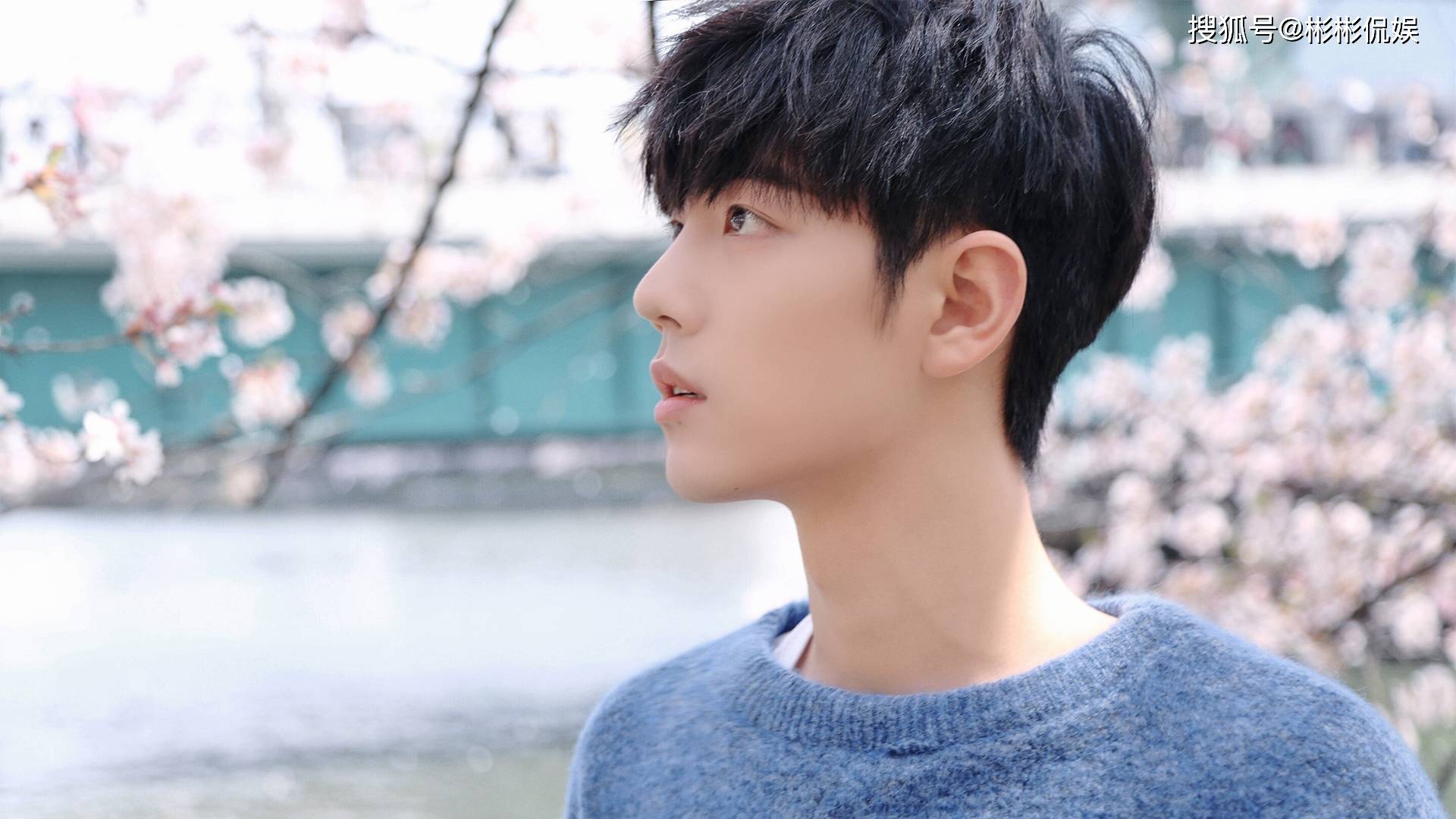 澳门一码一肖一特一中是公开的吗,精准解答方案详解_桌面款38.404