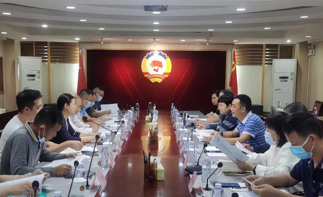 红树林最新消息,红树林最新消息，生态保护的进展与挑战