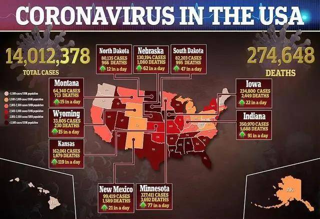 美国疫情最新动态，了解与应对新挑战