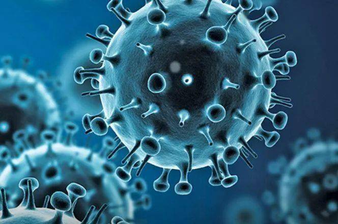 美国新冠疫情最新动态与内心平静的追寻,逃离疫霾之路