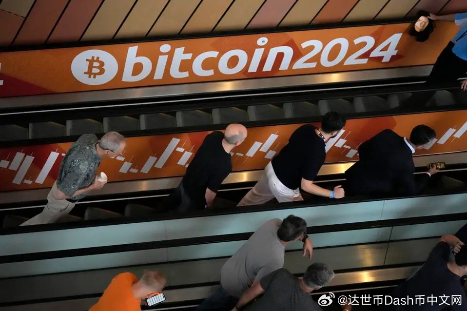 达斯币最新动态，探秘之旅与最新消息