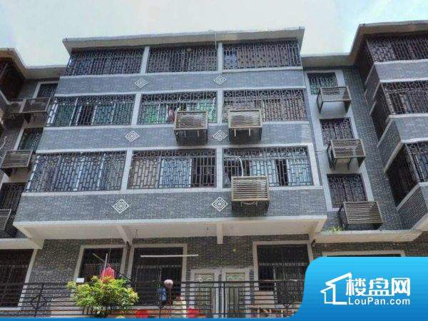 楼金富最新消息,楼金富最新消息,一场自然美景的探索之旅,寻找内心的平和与宁静