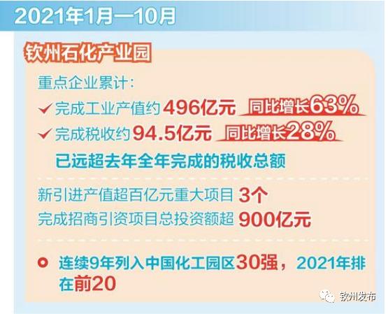 100%最准的一肖,实地验证策略具体_幽雅版96.496