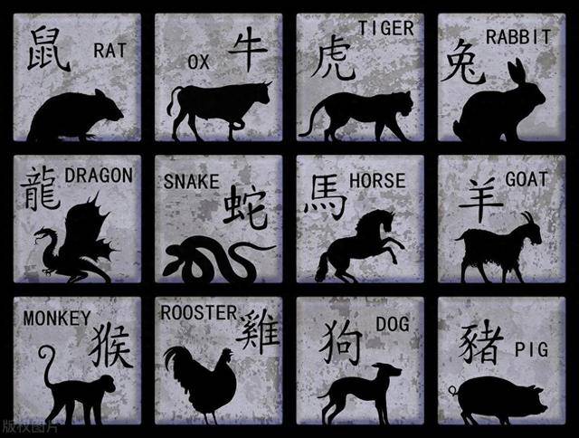 搬家必读 第258页