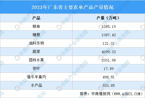 2024年資料免費大全優勢的特色,数据解析引导_强劲版59.229
