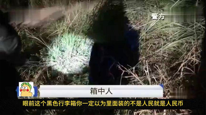 离奇失踪女子最新情况,离奇失踪女子最新情况🔍💔