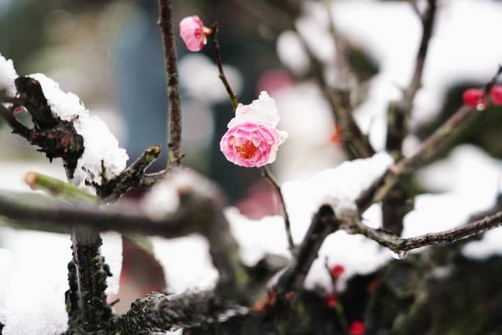 杭州疫情航班最新消息,杭州疫情航班最新消息