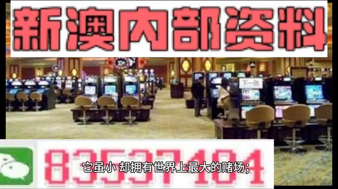 2024新澳正版免费资料大全,专业调查具体解析_车载版9.133