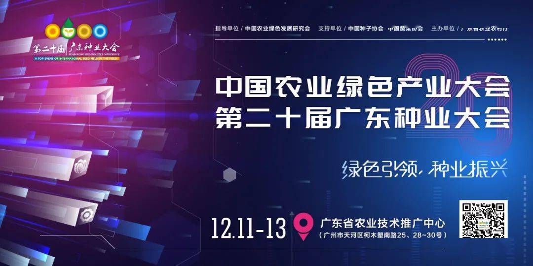 2024新澳门今晚开特马直播,实地验证策略具体_先锋实践版17.520