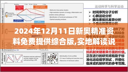 2024正版资料,实地观察解释定义_体验式版本30.854