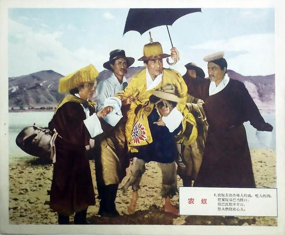 最新热门电影与探索自然之旅,追寻内心的平和与喜悦