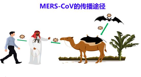 中东中国疫苗最新消息,中东中国疫苗最新消息，小巷深处的神秘疫苗之旅