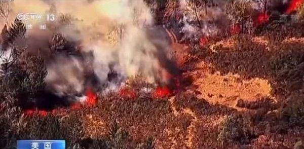 加州山火最新动态与应对指南,初学者到进阶用户的全面步骤